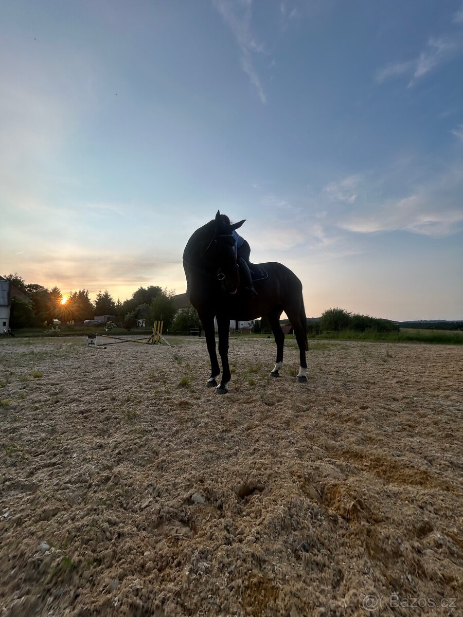Ježdění/pronájem