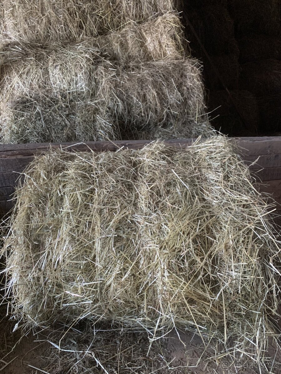 Prodám seno, malé kulaté balíky