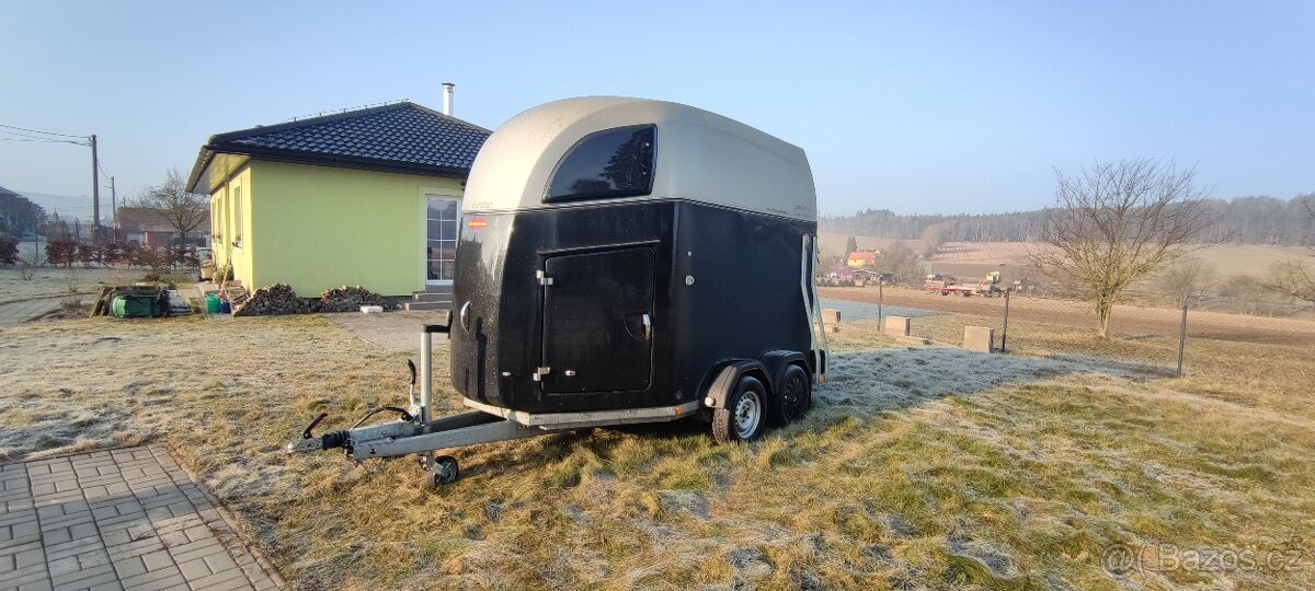 Pronájem přepravníků na koně .