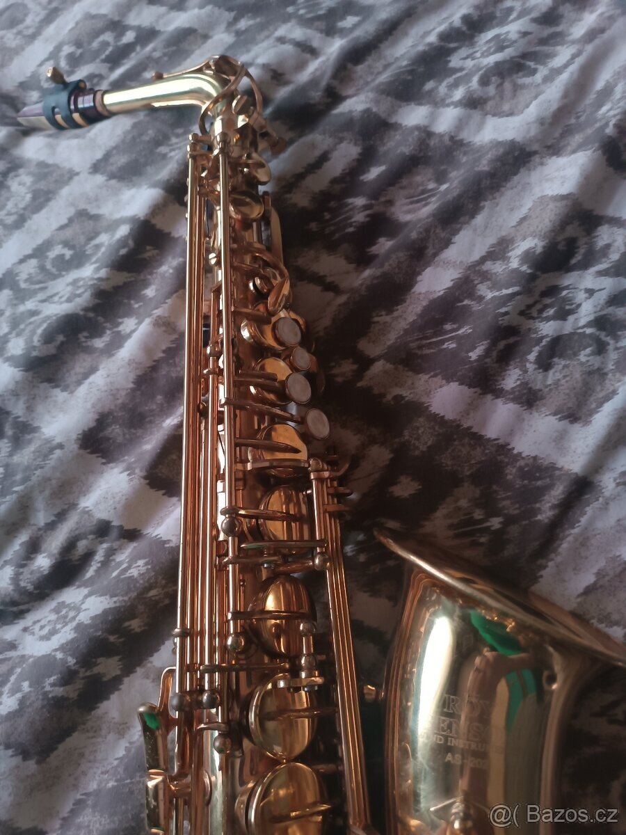 Es Alt Saxofon Roy Benson AS202 zlatolak