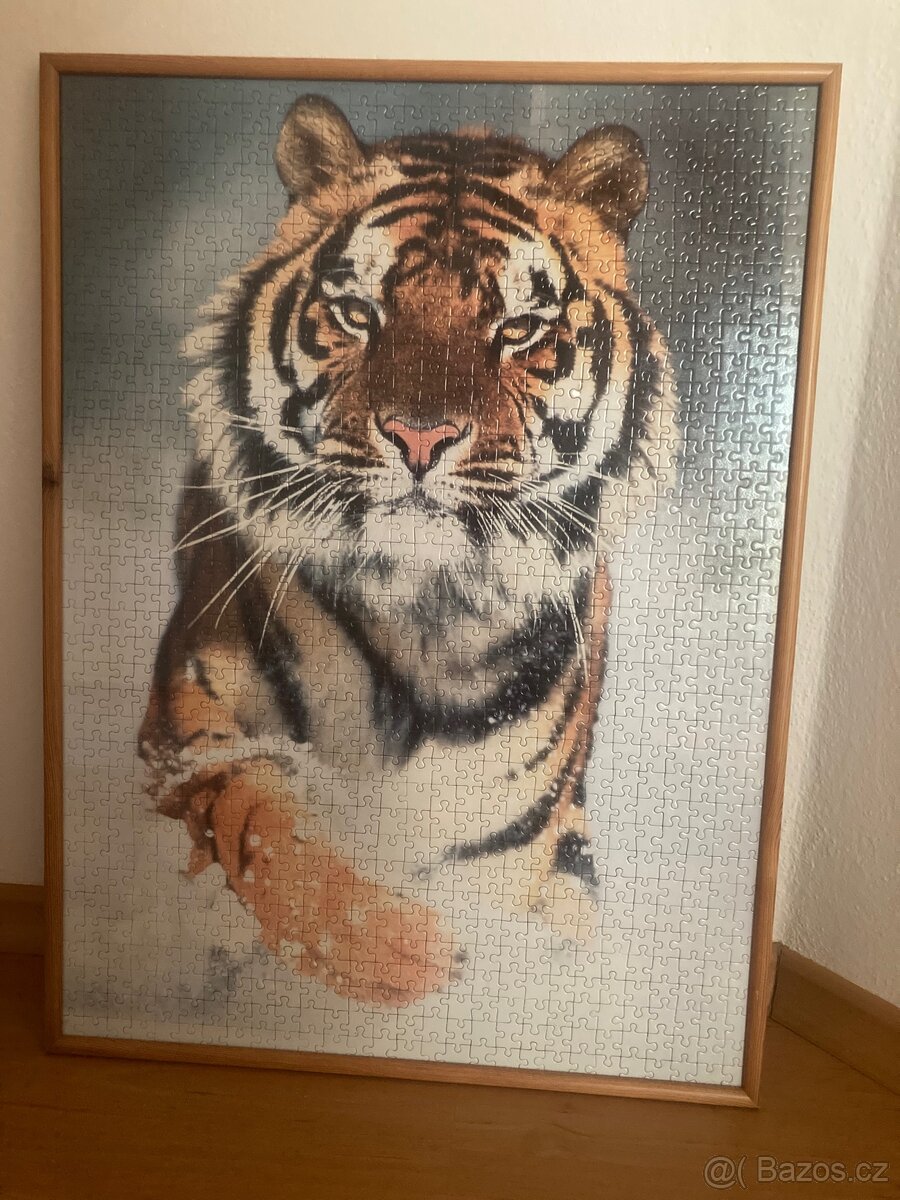 Obraz puzzle 50x65, zasklený