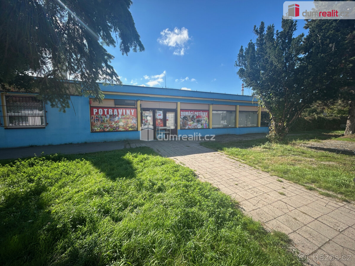pronájem komerčního objektu, Kolín 5, Třídvorská