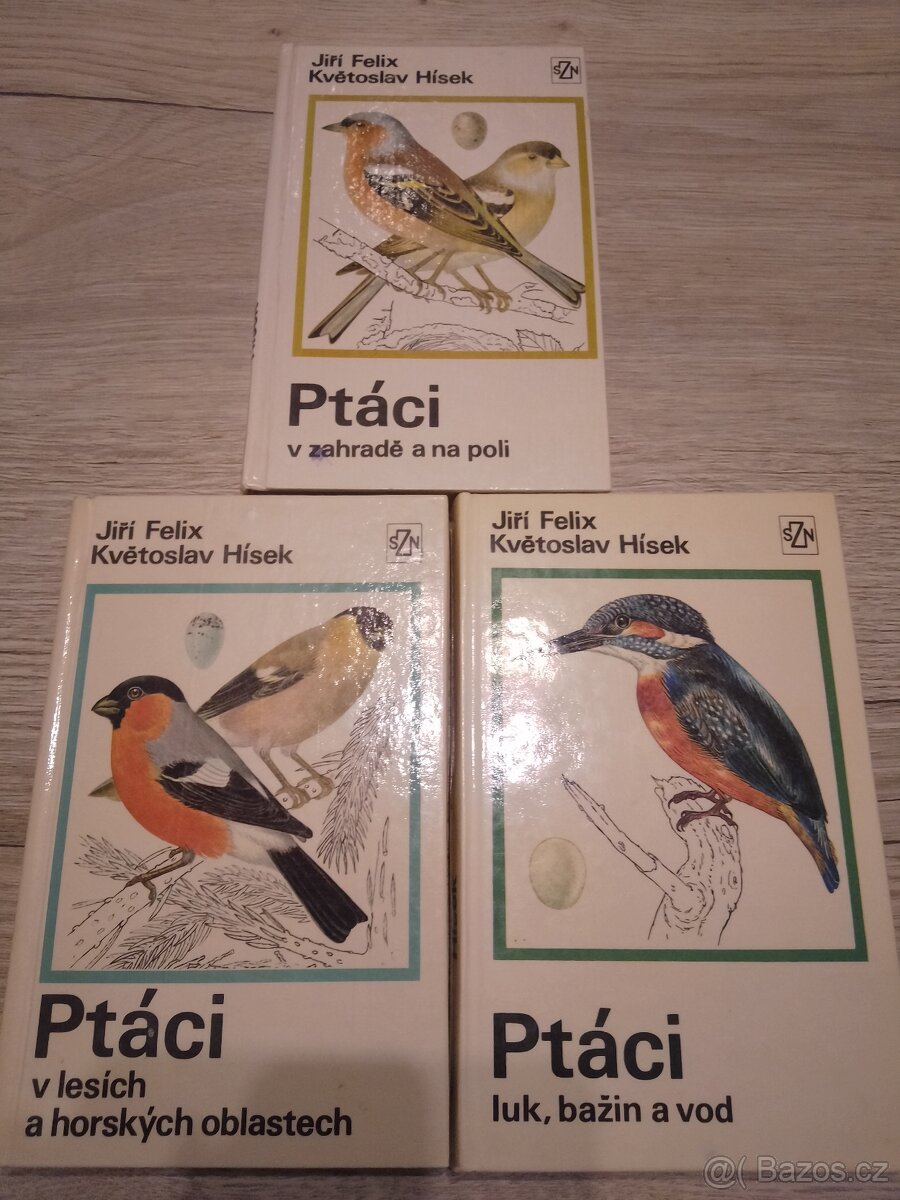 Ptáci, luk bažin a vod, v zahradě a na poli...