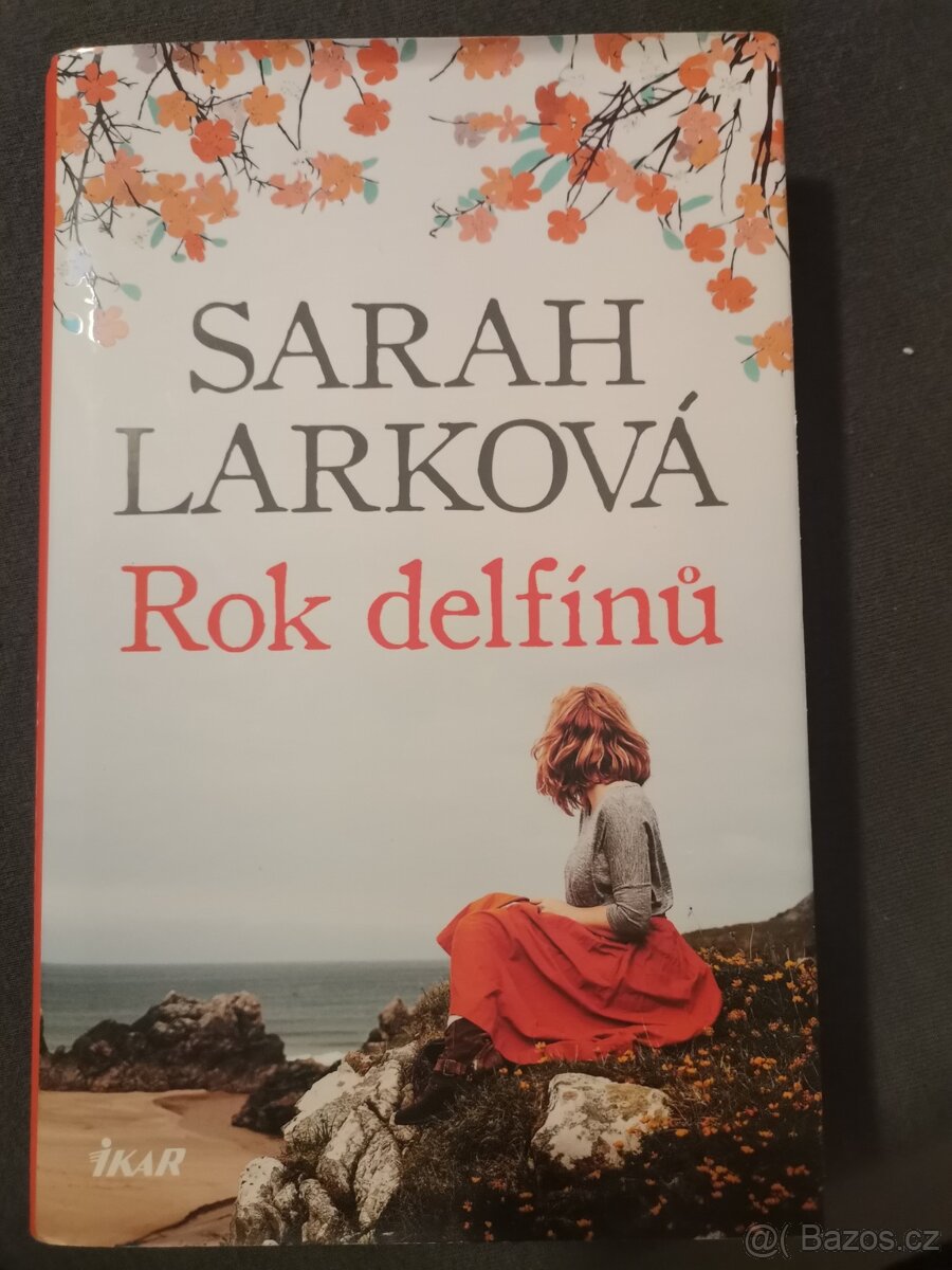 Rok delfínů