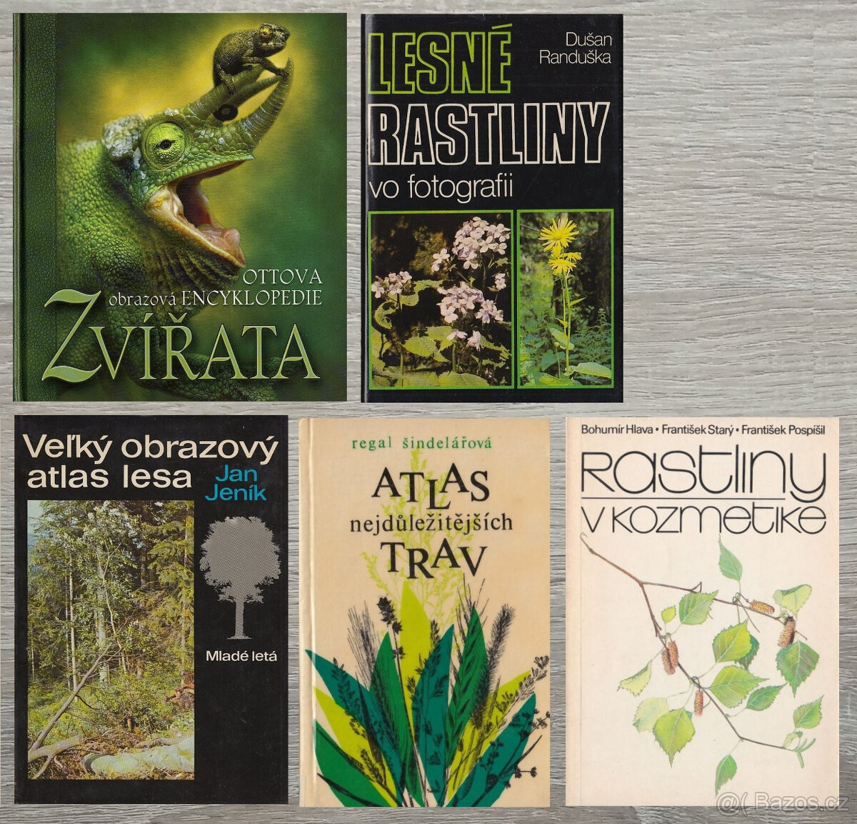 Příroda, rostliny, zvířata, hmyz a houby