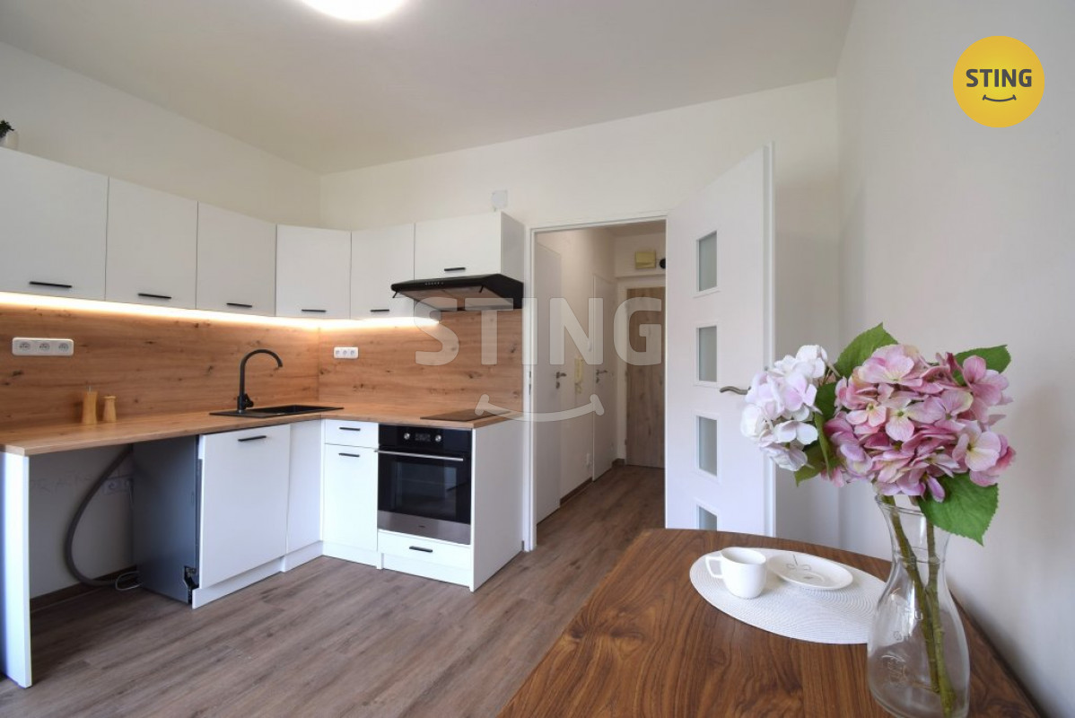 Pronájem bytu 1+1 po kompletní rekonstrukci s balkon, 132970