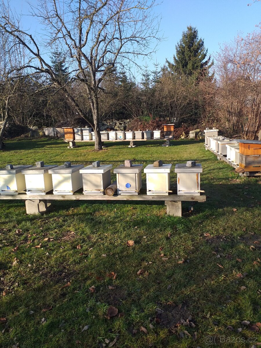 Vyzimovaná včelstva, včelí oddělky