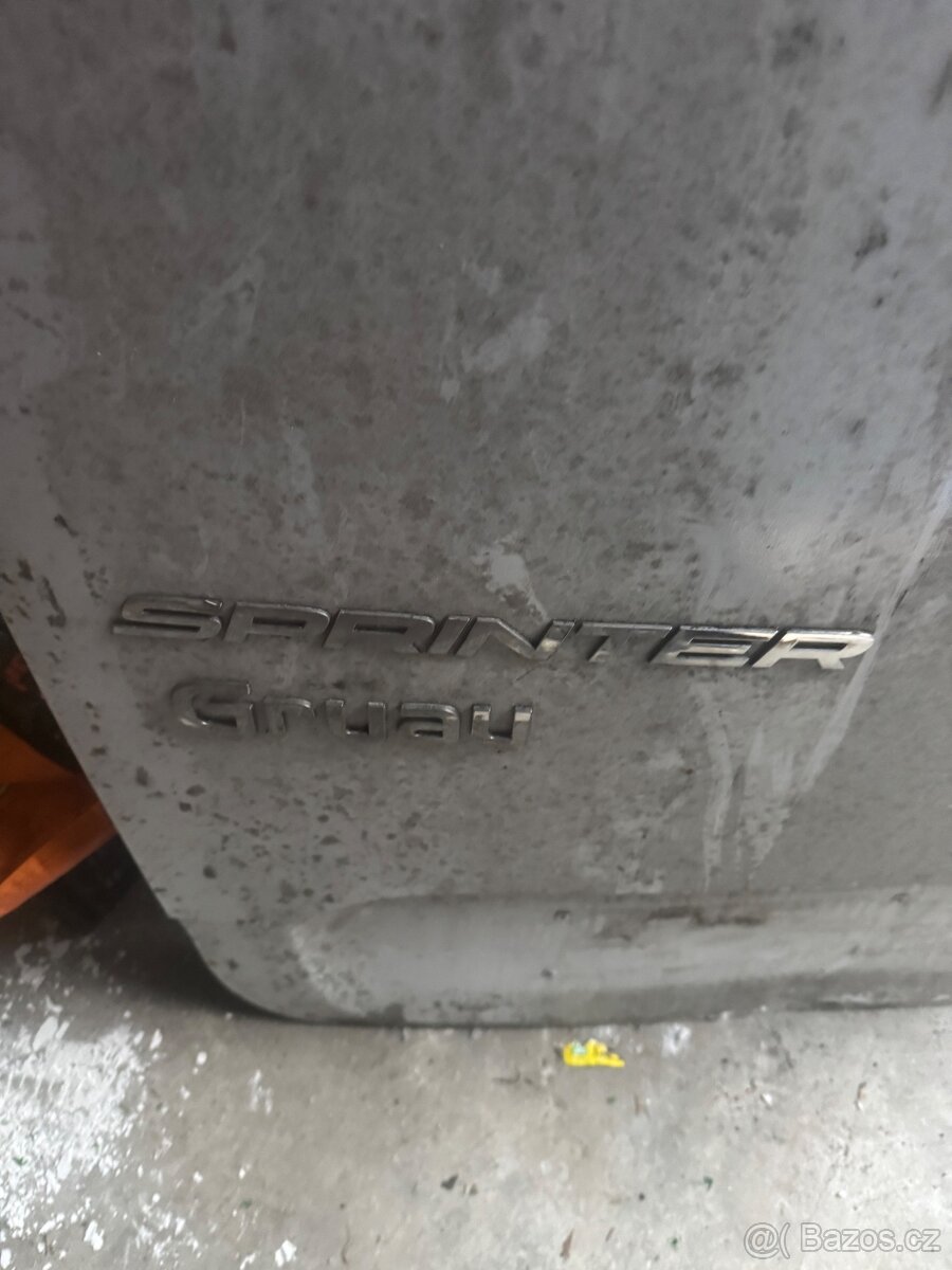Sprinter