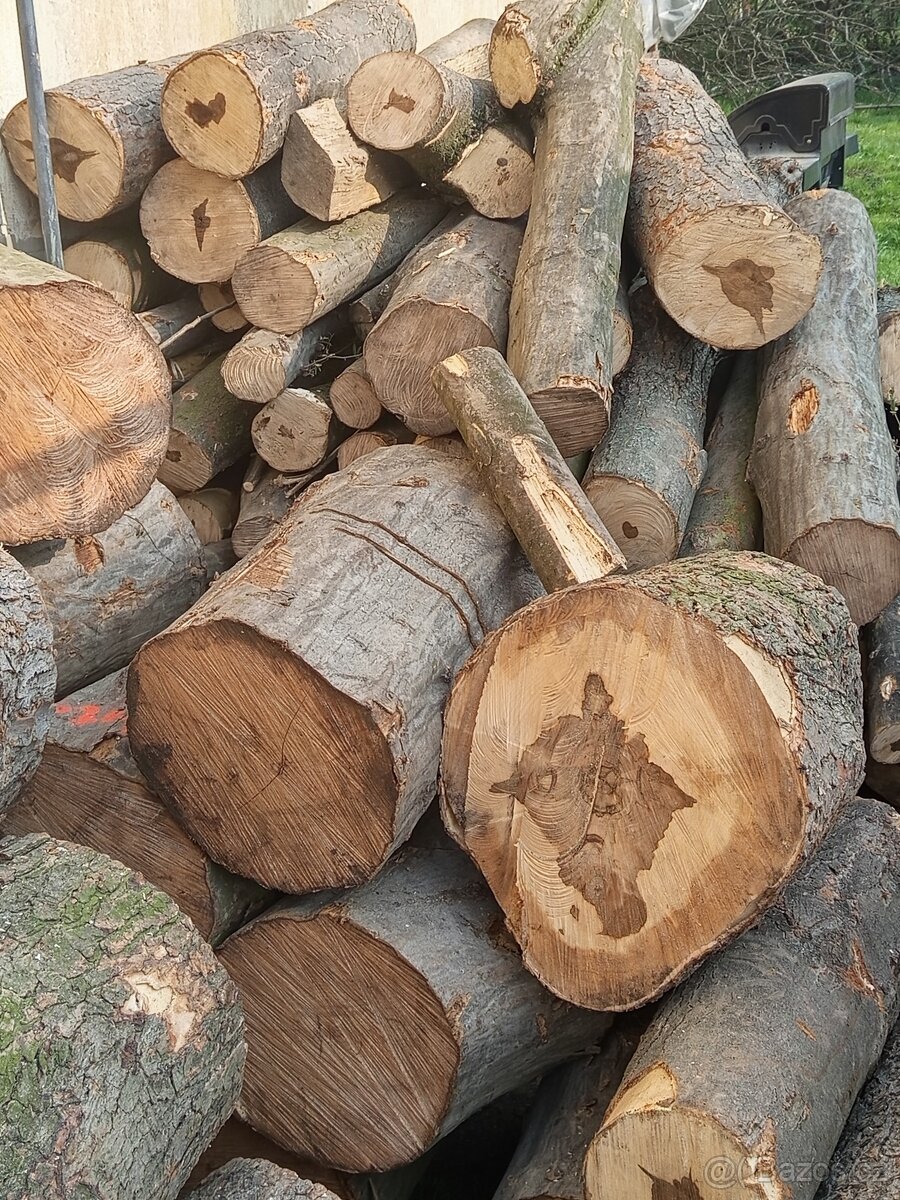 🔥 PALIVOVÉ DŘEVO