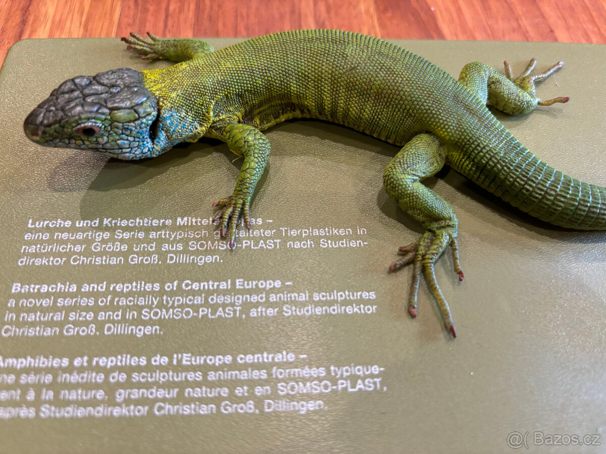 SOMSO - Modely obojživelníků - originály