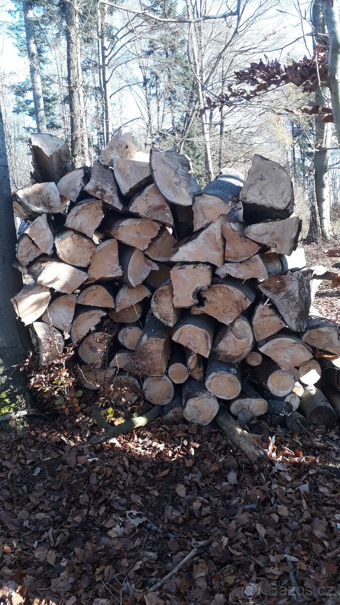 Prodam drevo buk palivo