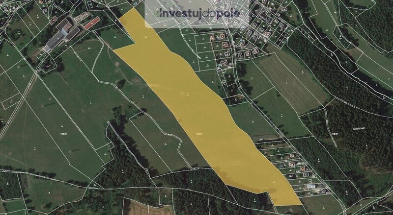 Prodej louky v k.ú. Kokonín