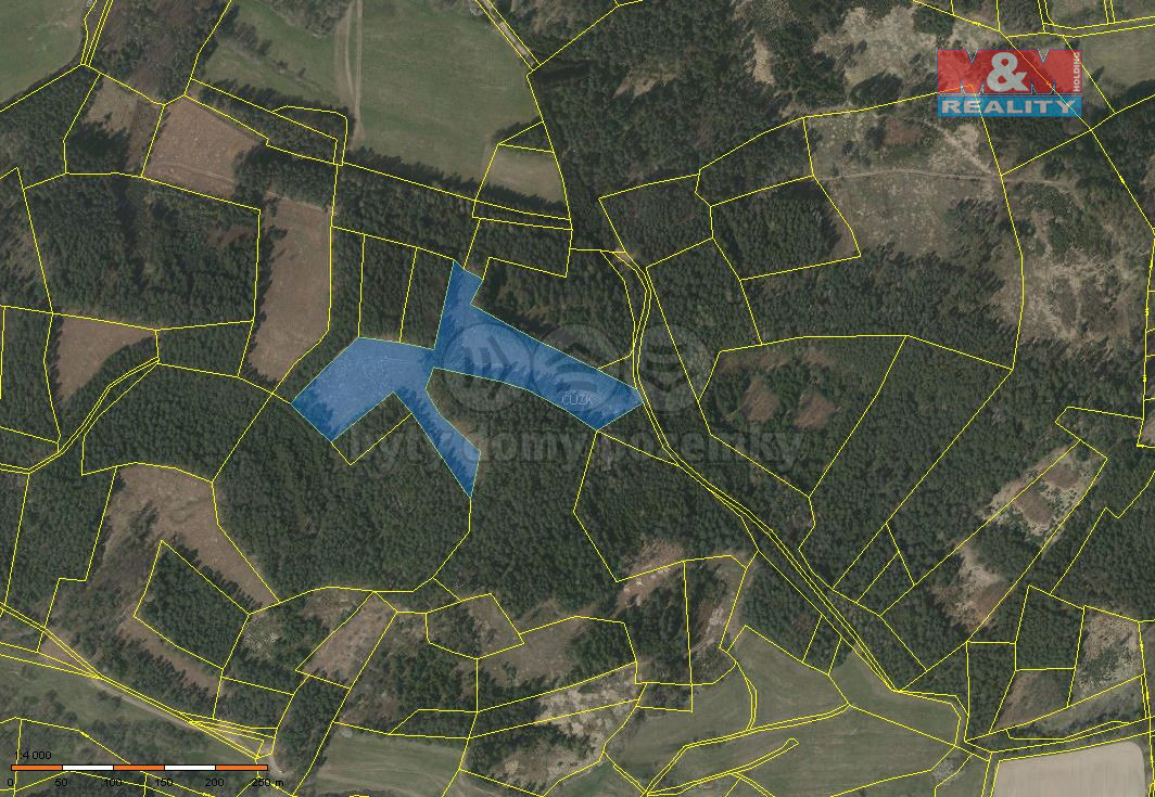 Prodej lesa, 22084 m², Přechovice