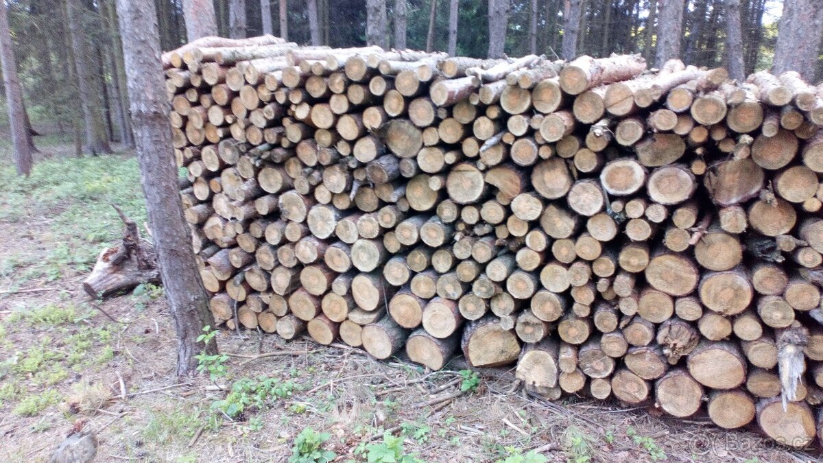 Palivové dřevo borovice