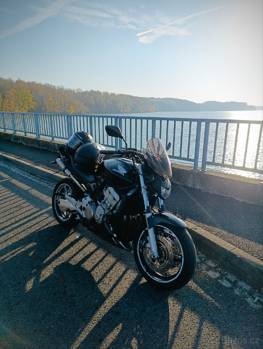 Hornet 900