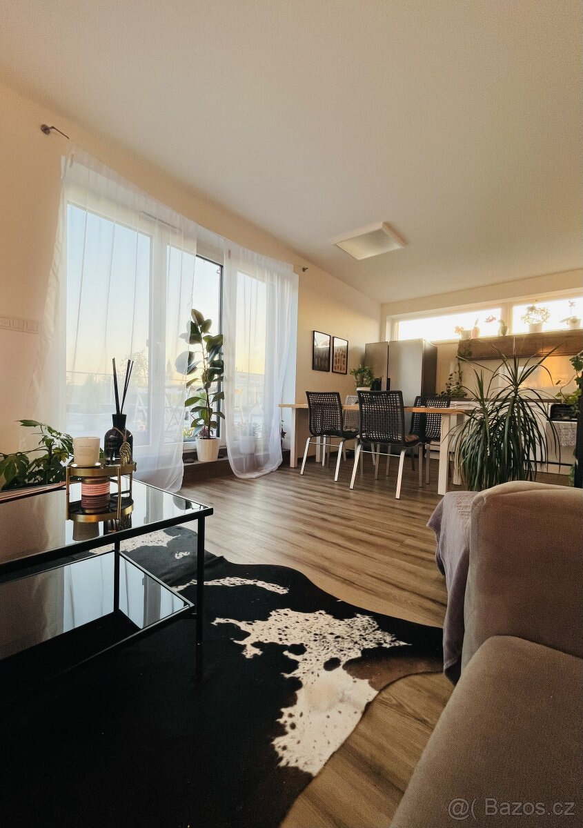 Pronájem bytu 4+kk a 72m2 terasa, 2x garáž, Tomkova, Hejčín,