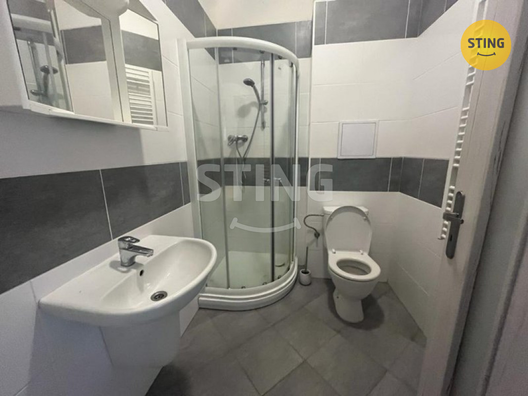 Pronájem apartmá 1+kk., 132197