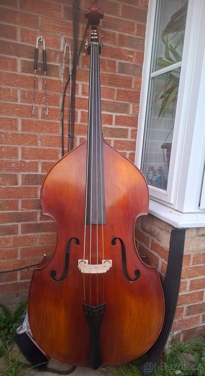 Kontrabas 3/4 celomasiv