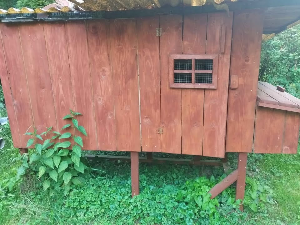 Kurník pro slepice nový