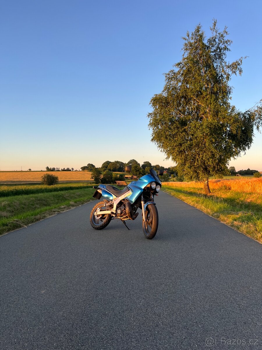 Yamaha TDR