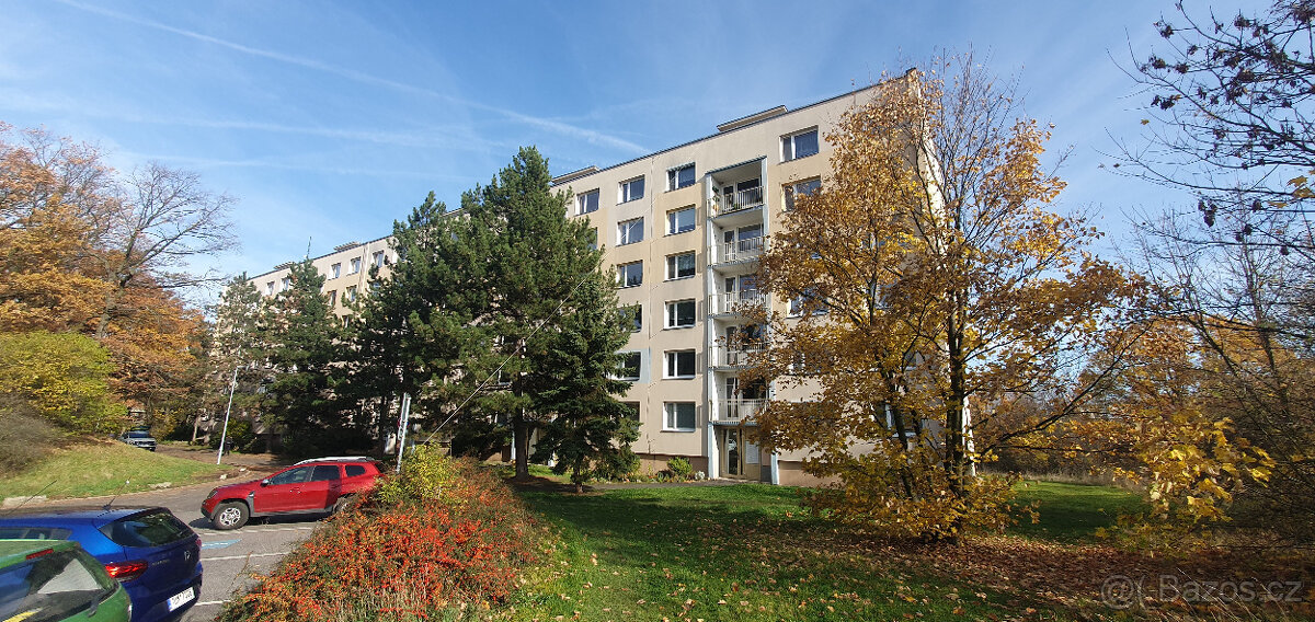 Družstevní byt 3+1+L, Kosmonautů, Teplice