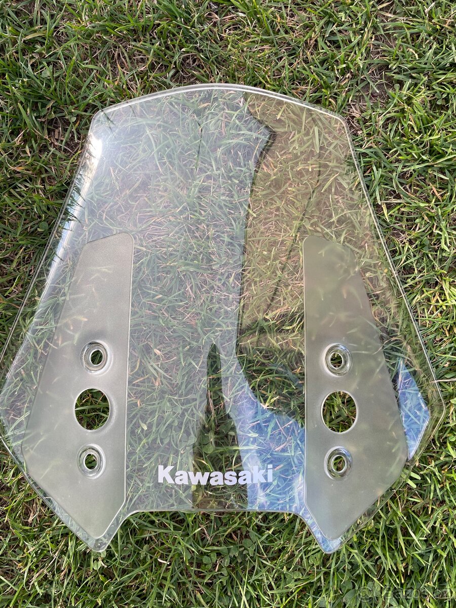 Kawasaki Versys 1000