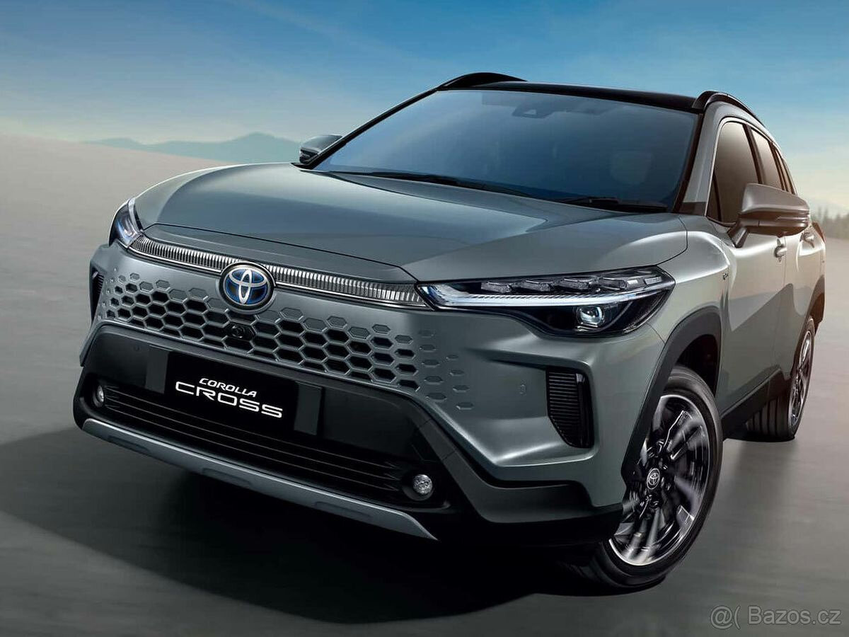 Řidič nebo řidička pěkných nových TAXI vozů (automat)