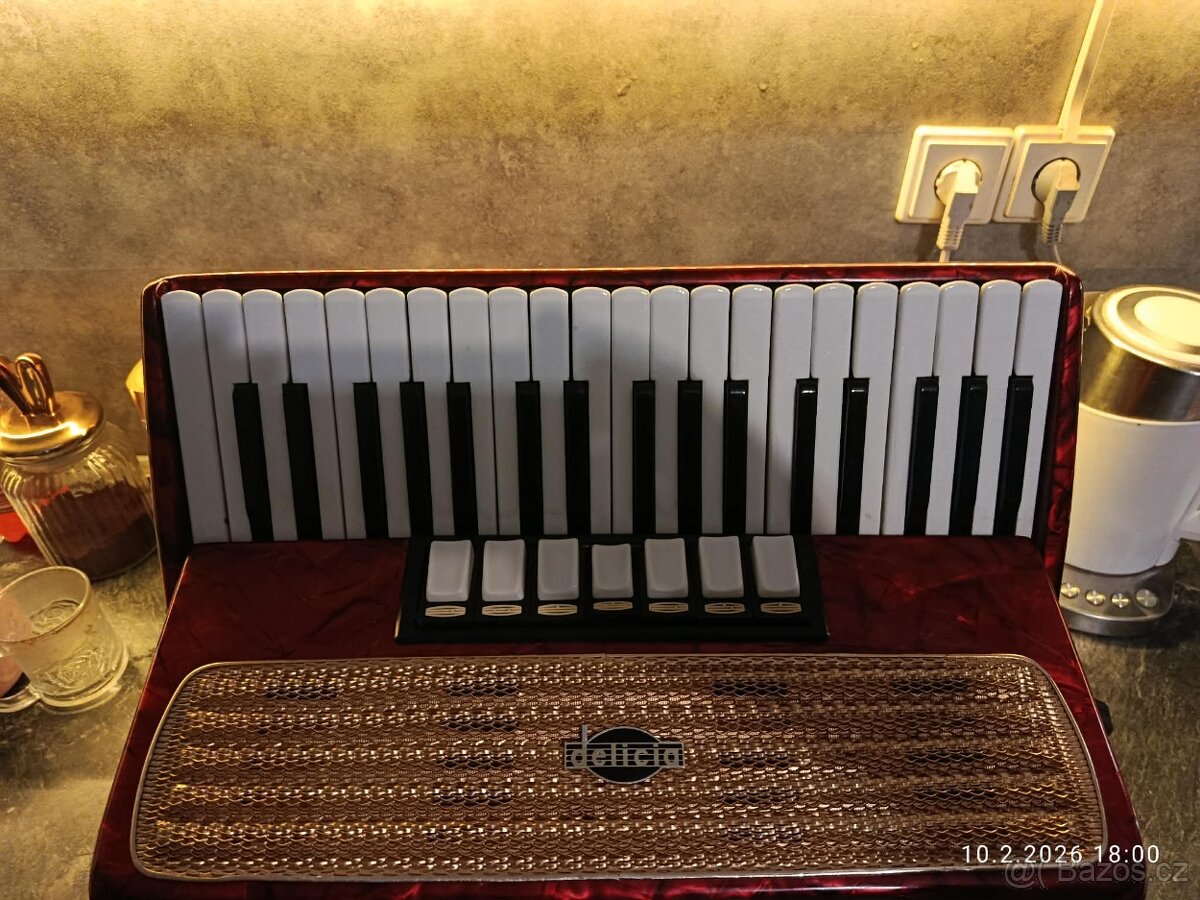 Harmonika akordeon delicia