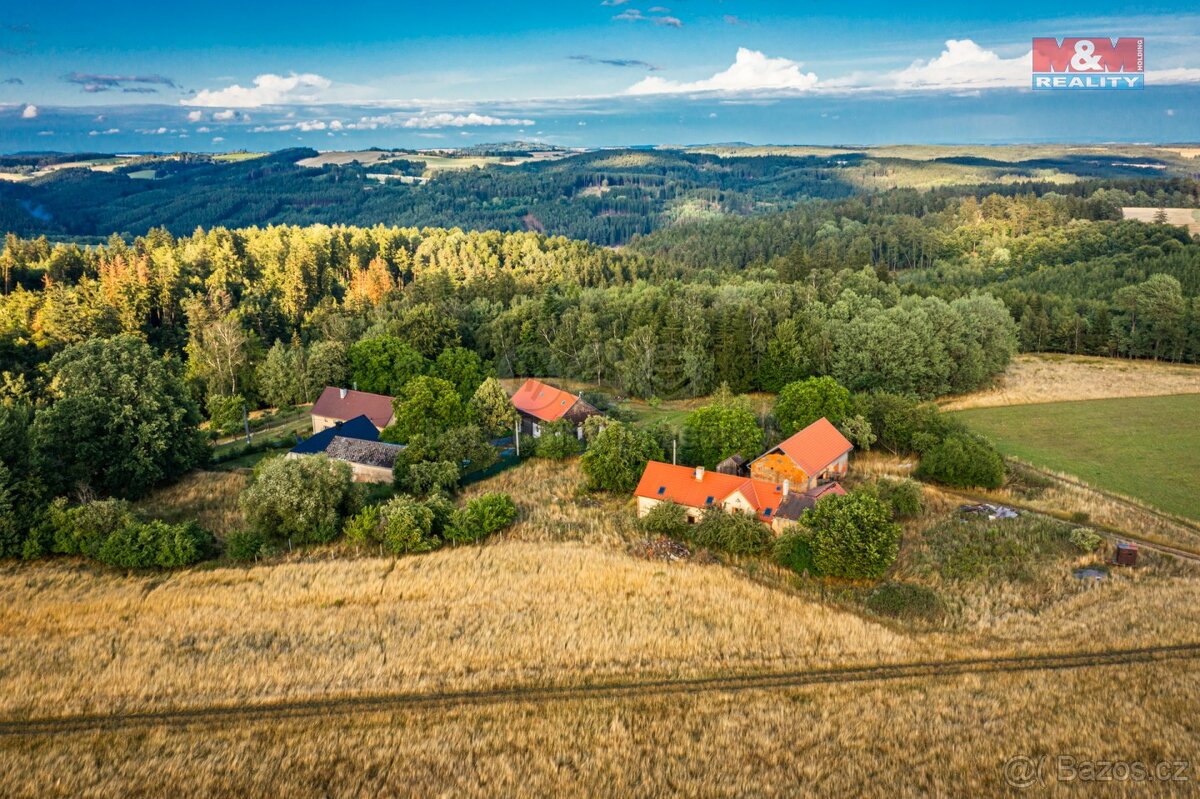 Prodej zemědělské usedlosti, pozemek 55656m2, v Plané