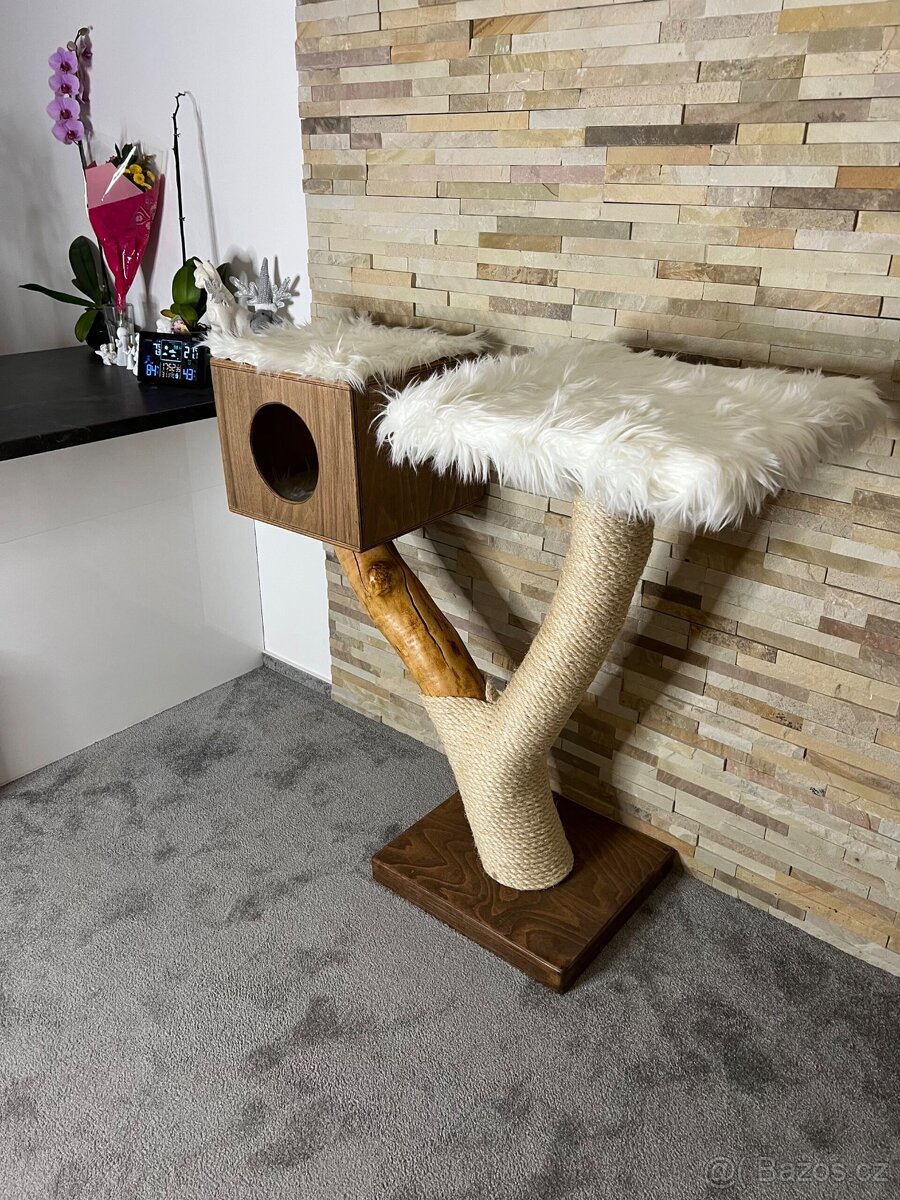 Kočičí strom s boudičkou