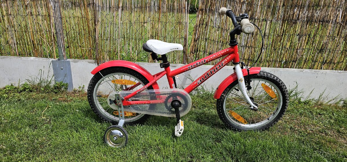 Author 16" Orbit