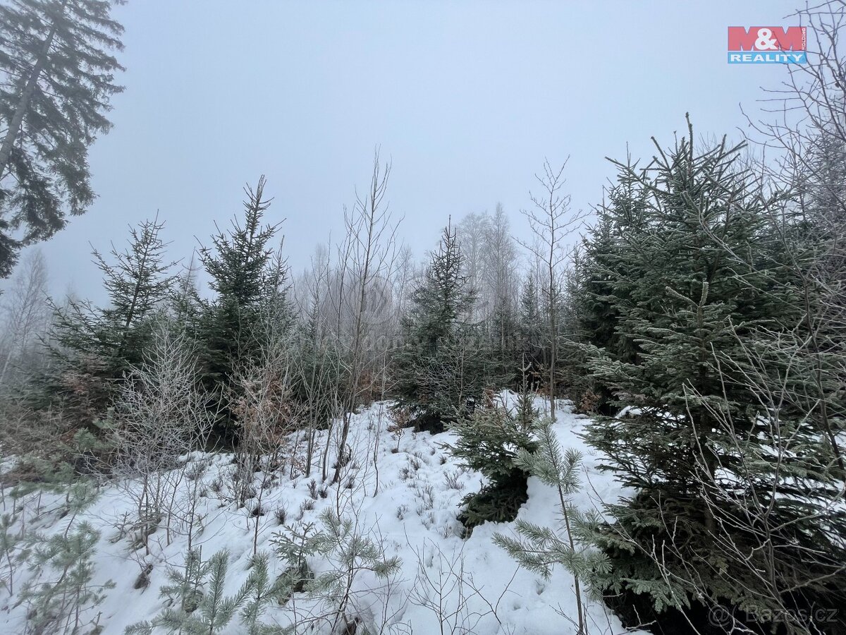 Prodej, les, 10412 m2, Pecka, Vidonice