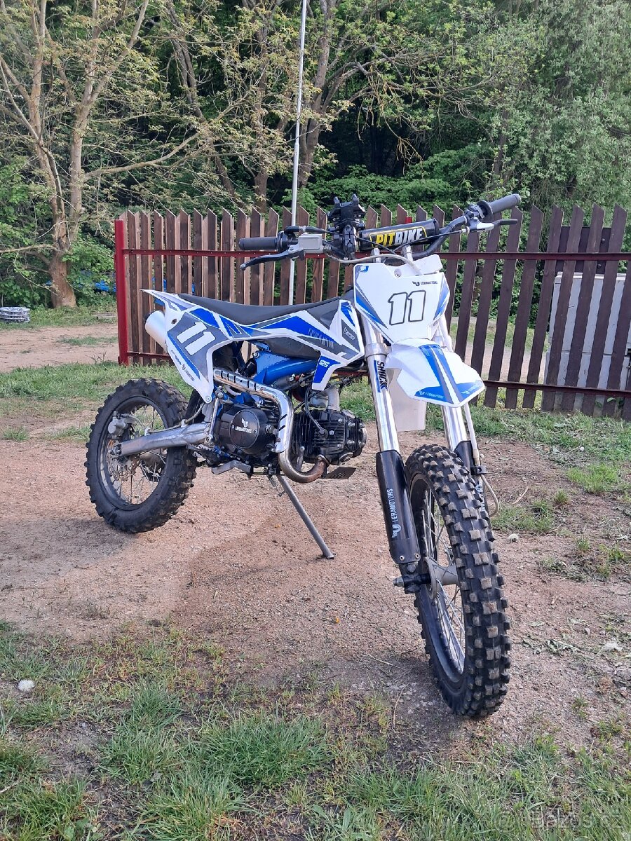 Pitbike Shark 125