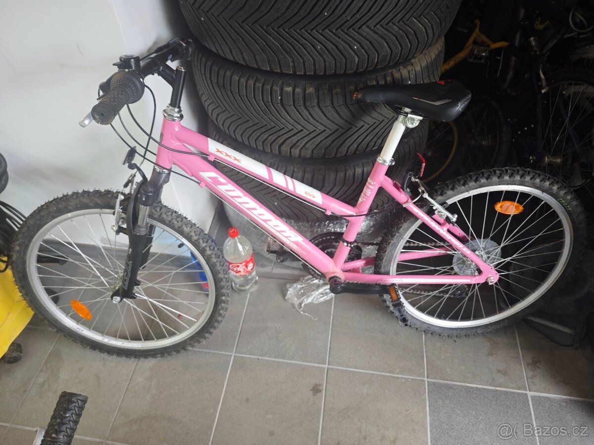 Condor 24"