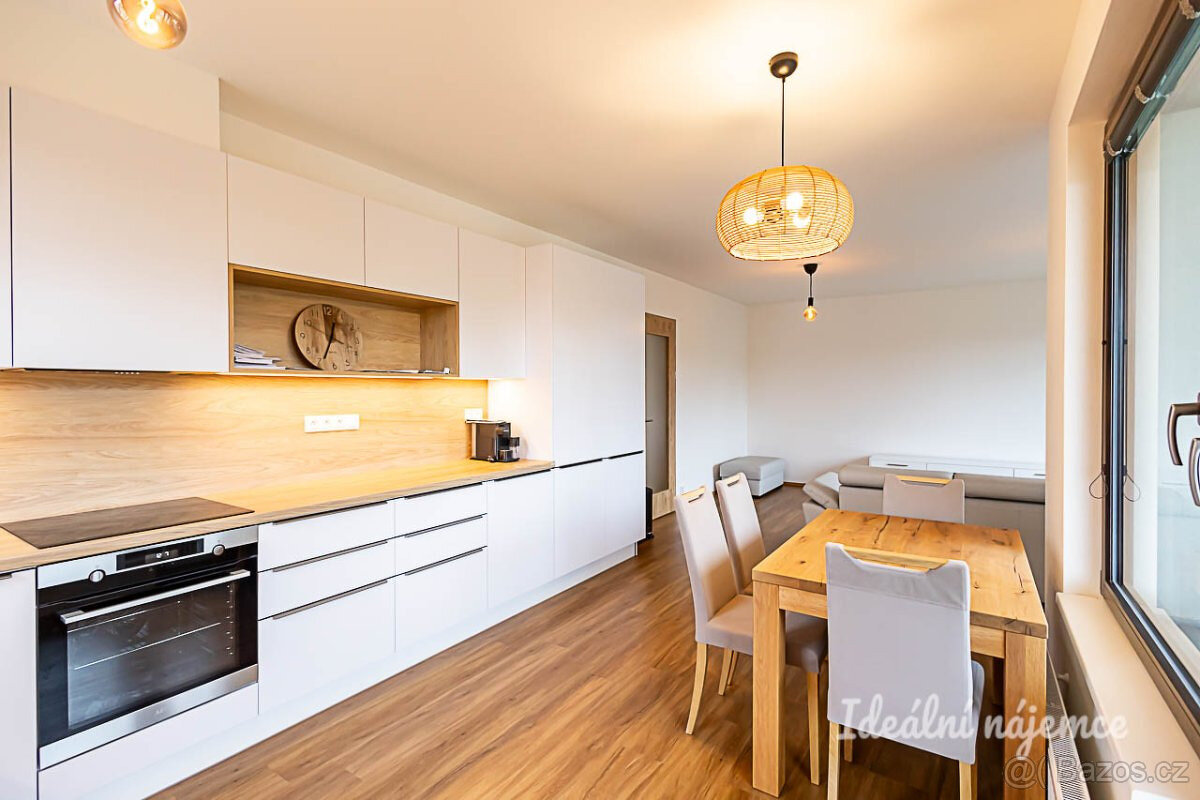 Pronájem bytu 4+kk, Hrašeho, Čimice, 117 m2