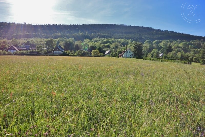 Prodej stavebního pozemku v obci Stachy na malebné Šumavě