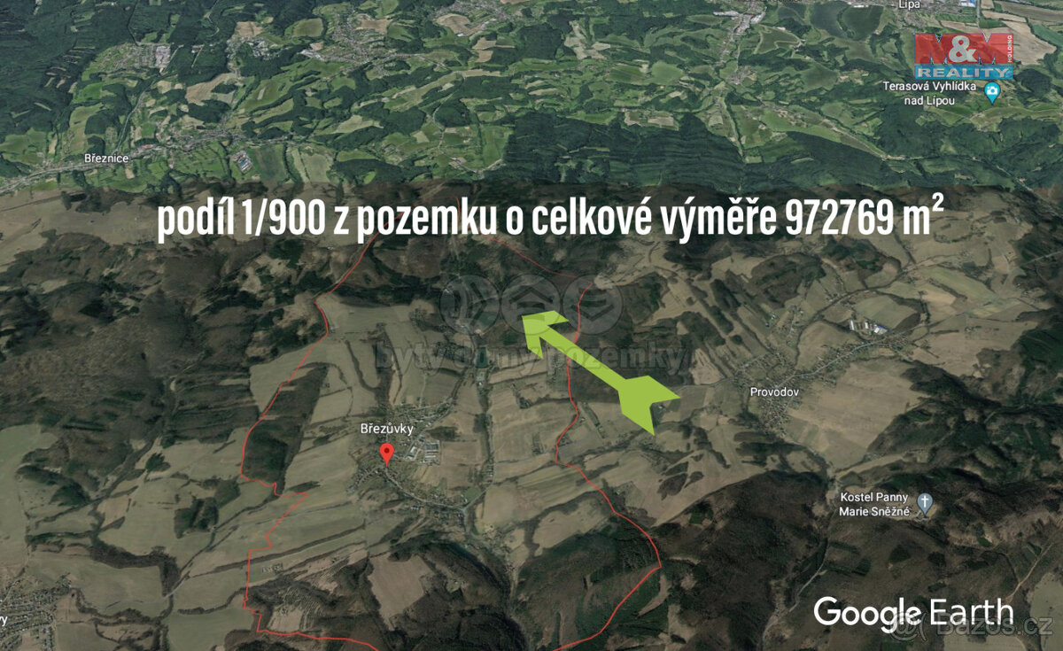 Prodej lesa, 1081 m², Březůvky