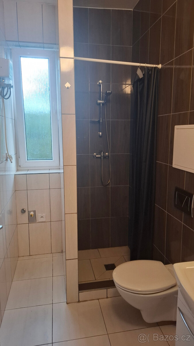 Pronájem částečně zařízeného bytu 1+kk ve Svítkově