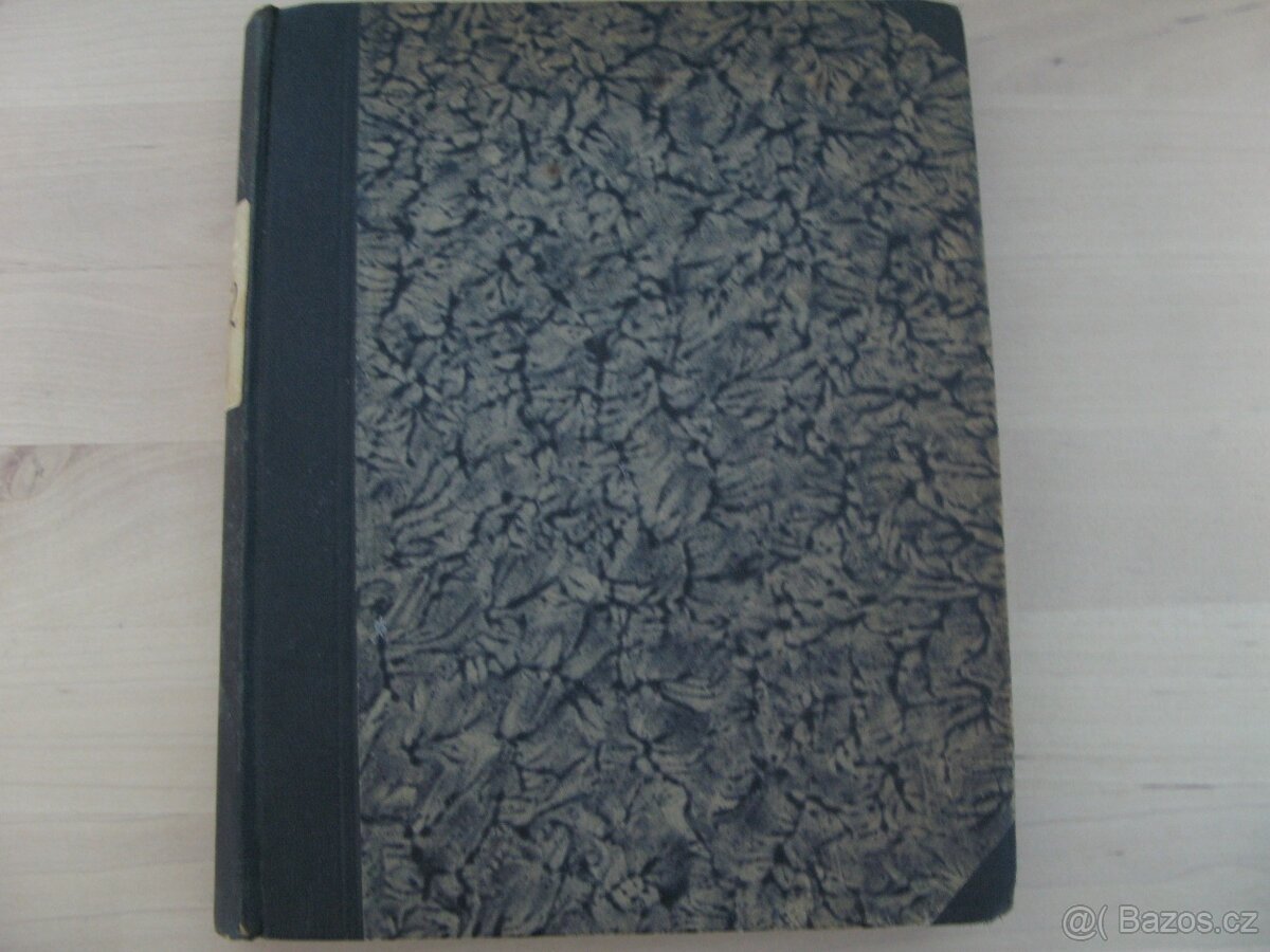 Minda: miláček první B