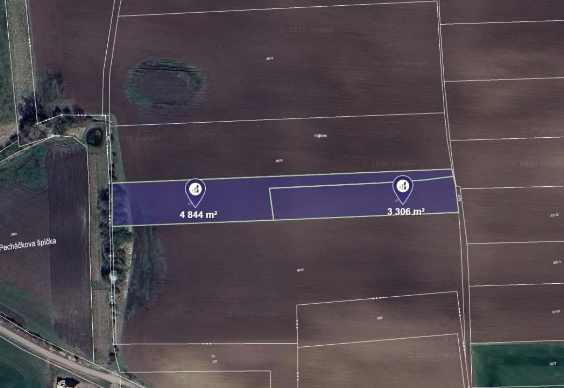Prodej pole v k.ú. Černíky, ev.č. 2025-10-29-160147