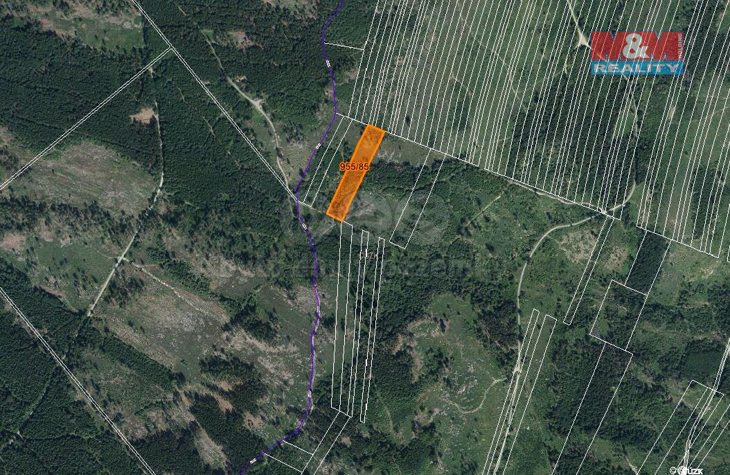 Prodej lesa, 6092 m², Nová Hradečná