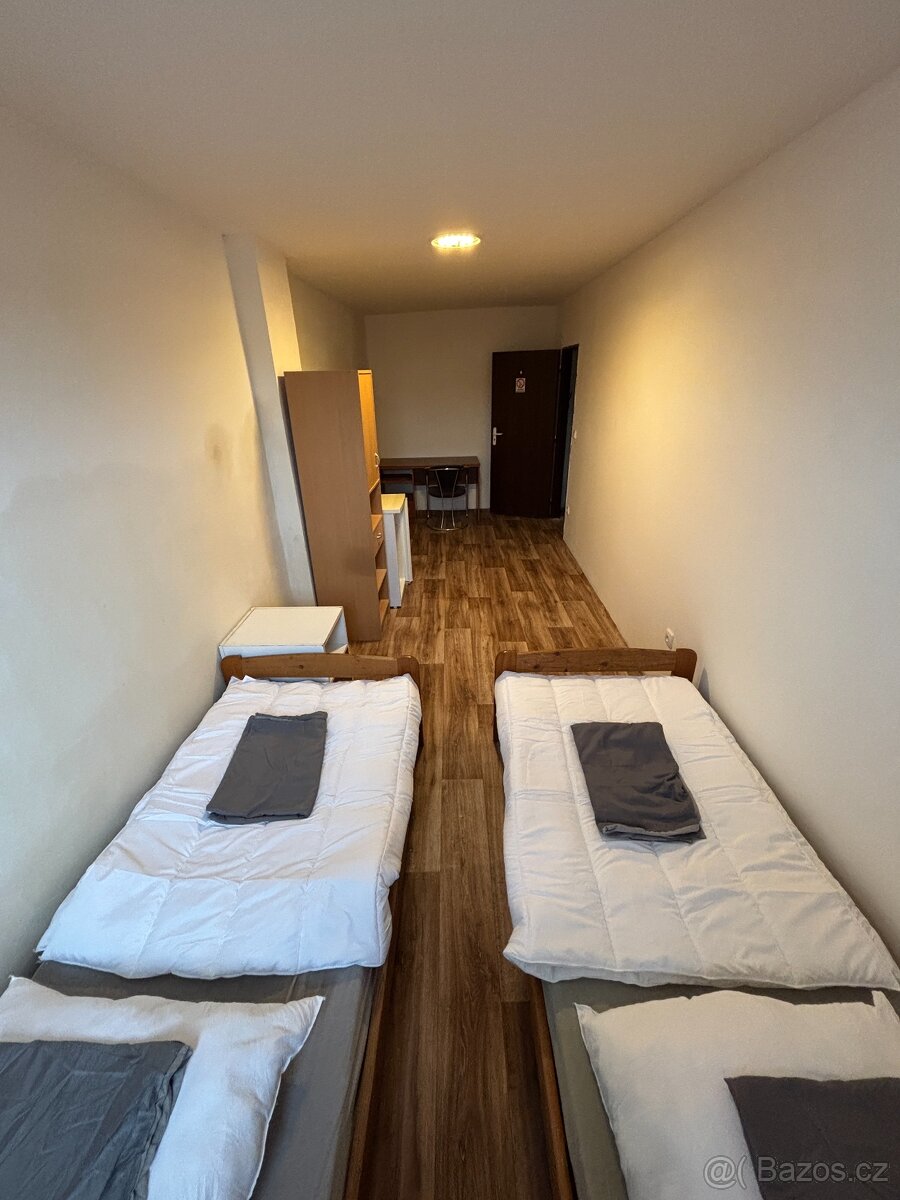 Podnájem pokoje MLADÁ BOLESLAV