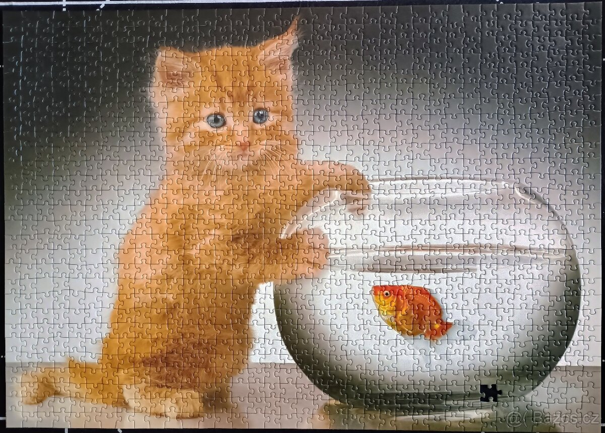 Puzzle 1000 kotě
