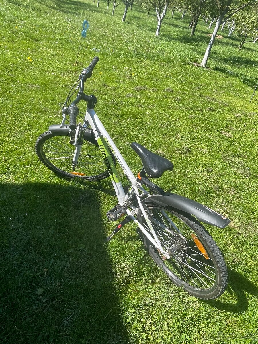 Westige junior 24"