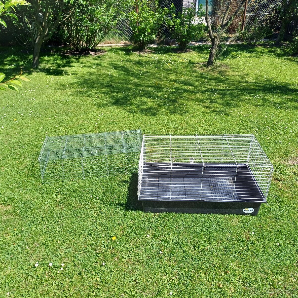 klec na kralicka