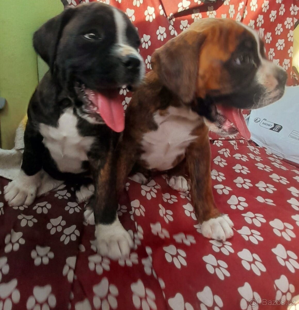 Štěňátka Německých Boxerů žíhaná