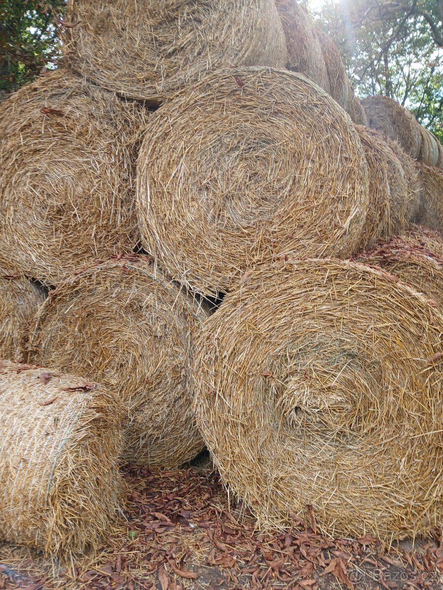 baliky