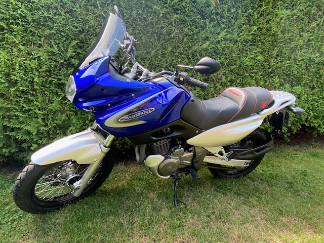 Suzuki XF 650 Freewind