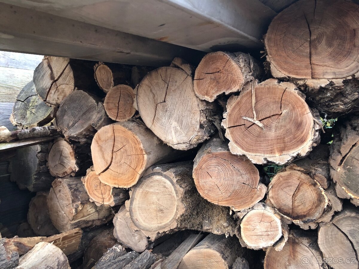 Dřevo akát