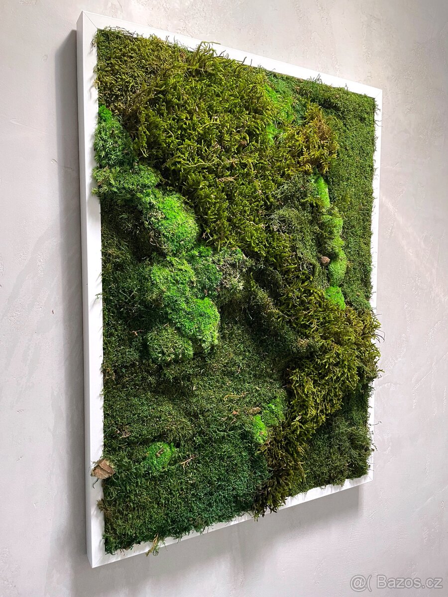 NOVÝ mechový "živý" obraz 50x70 cm, design, mech, Praha 4